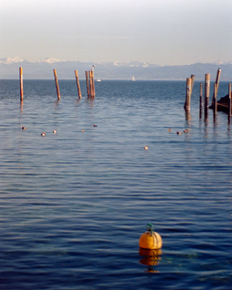 Aussicht von Meersburg auf den Bodensee
