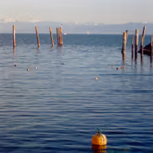 Aussicht von Meersburg auf den Bodensee