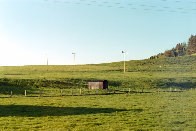 Aussicht ins Weinland