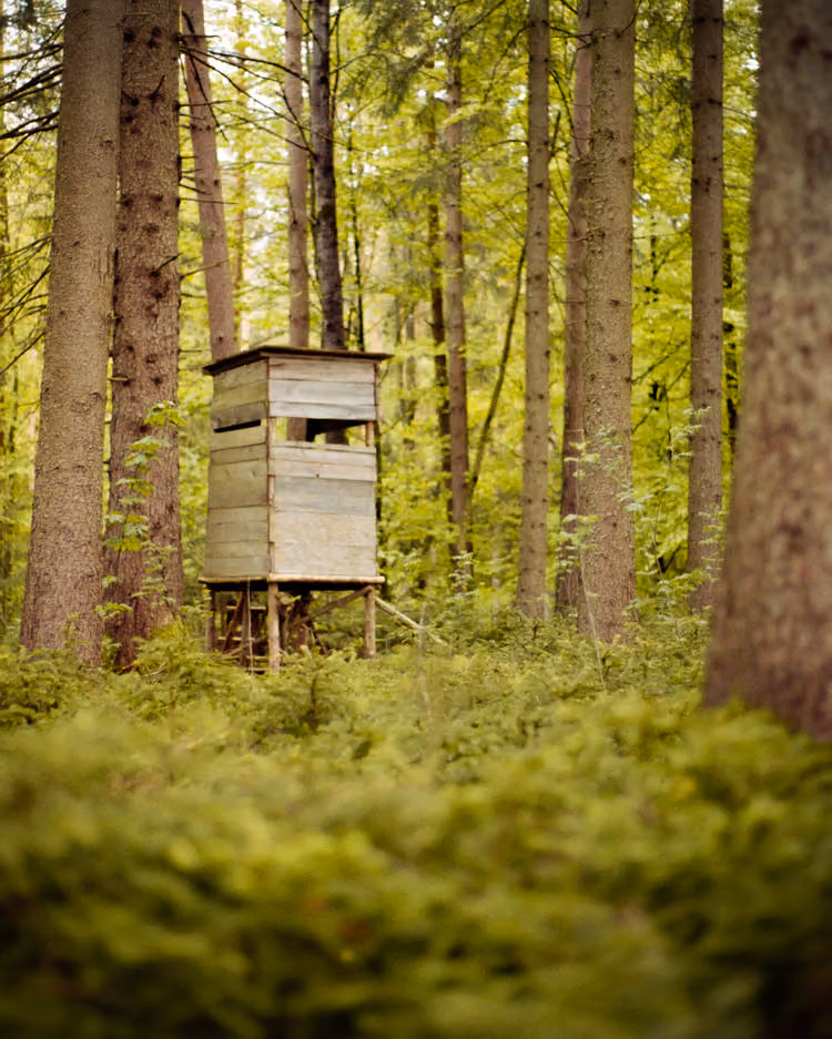 Jägerhaus im Schongauer Wald