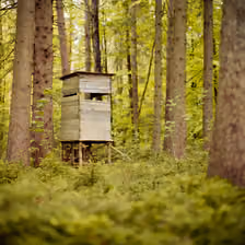 Jägerhaus im Schongauer Wald