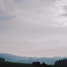 Landwirtschaft