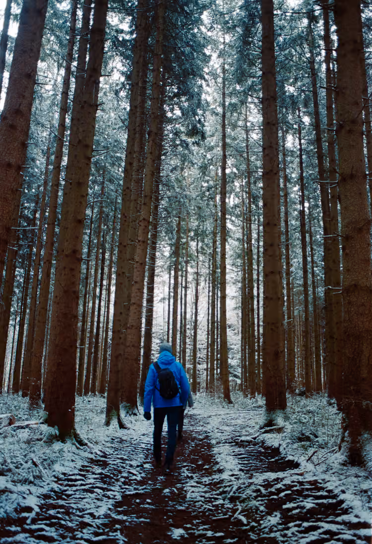 Winterlicher Waldpfad
