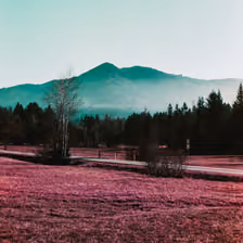 Aussicht von Saulgrub