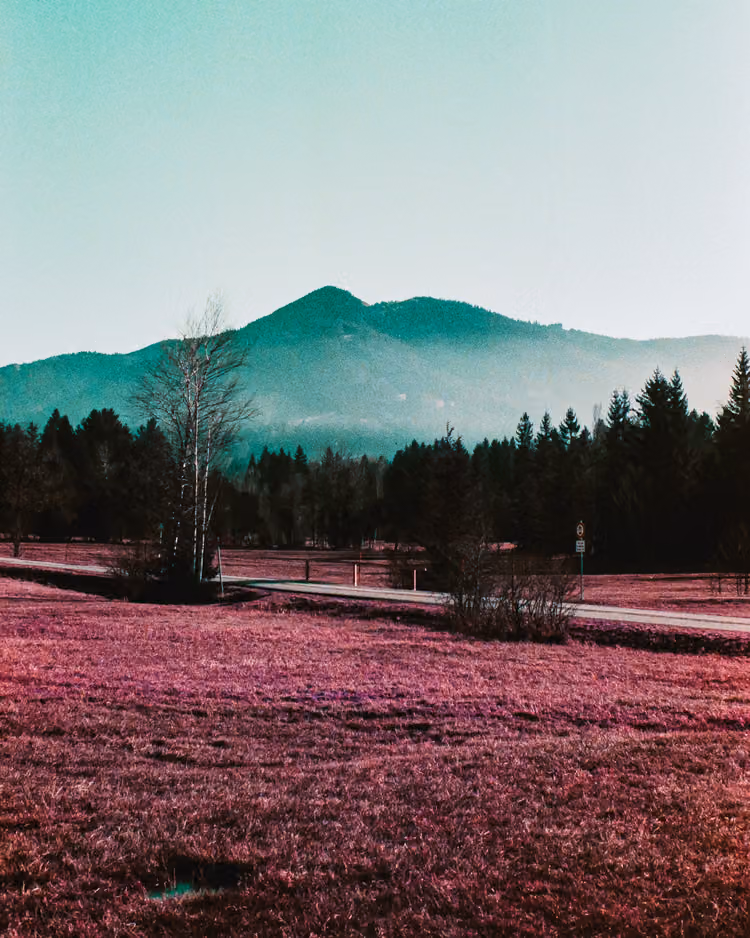 Aussicht von Saulgrub
