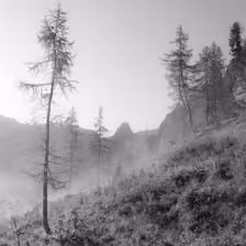 Morgentau mit Aussicht auf das Schottmalhorn