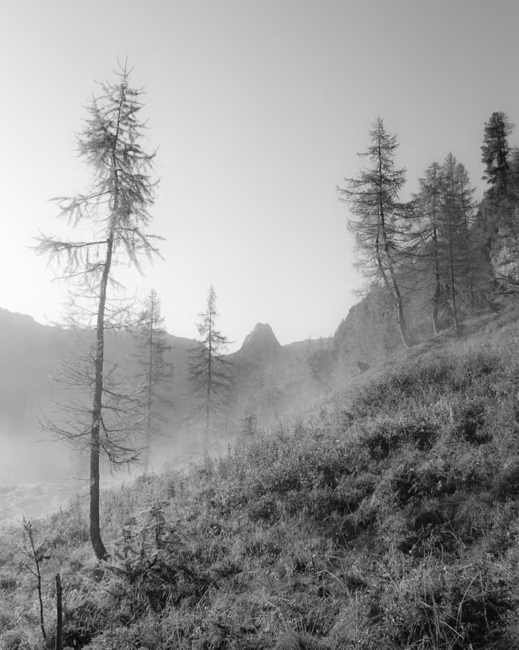 Morgentau mit Aussicht auf das Schottmalhorn