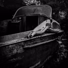 Land unter